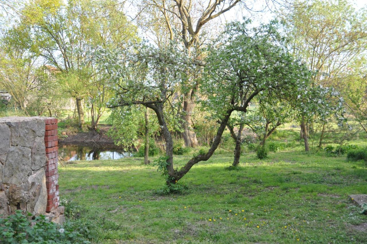Ferienhaus Caselow 23 Bergholz Eksteriør bilde