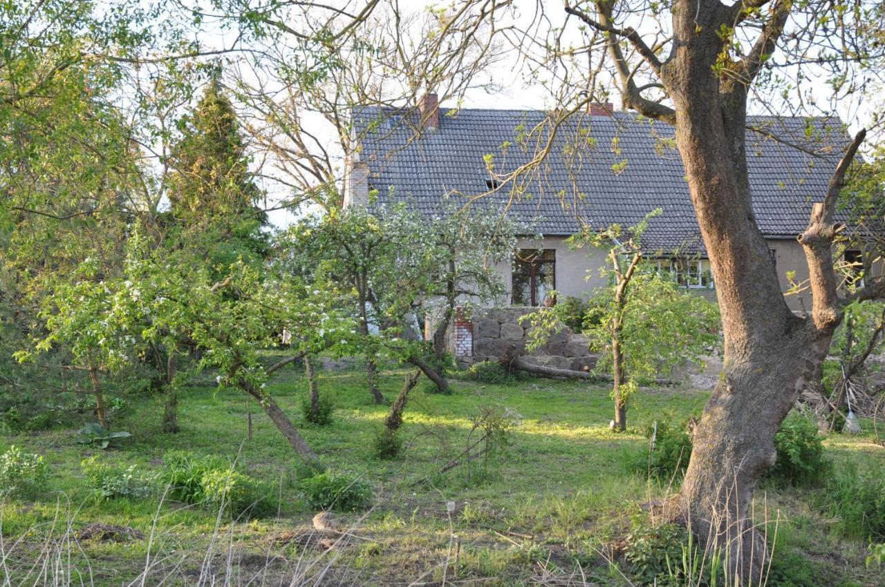 Ferienhaus Caselow 23 Bergholz Eksteriør bilde